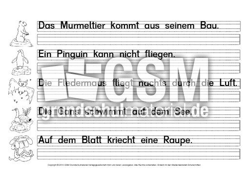 Leseblatt-26B-2.pdf